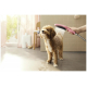 Лейка для душа HANSGROHE DogShower 26640560 для собак, розовая