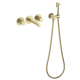 Смеситель для раковины TIMO Saona 2383/17SM с гигиеническим душем, С ВНУТРЕННЕЙ ЧАСТЬЮ золото
