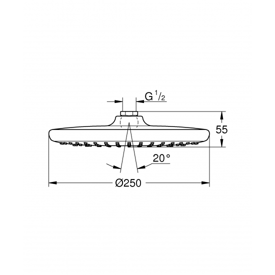 Верхний душ GROHE Tempesta 250 26666000