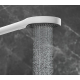 Лейка для душа HANSGROHE Rainfinity 26864700, матовый белый