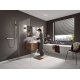 Лейка для душа HANSGROHE Pulsify Relaxation 105 3jet 24110000 хром