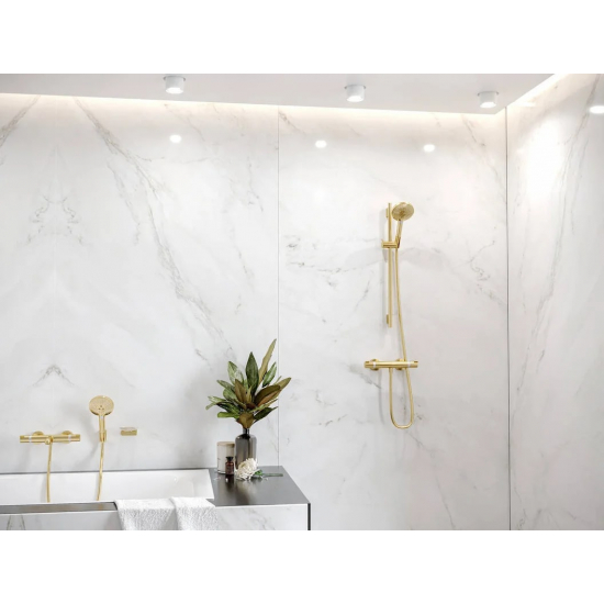 Лейка для душа HANSGROHE Raindance Select S 26530990 полированное золото