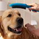 Лейка для душа HANSGROHE DogShower 26640540 для собак, бирюзовая
