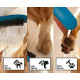 Лейка для душа HANSGROHE DogShower 26640540 для собак, бирюзовая