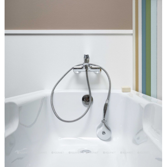 Акриловая ванна AQUANET Extra 205482 170x70 см, с каркасом