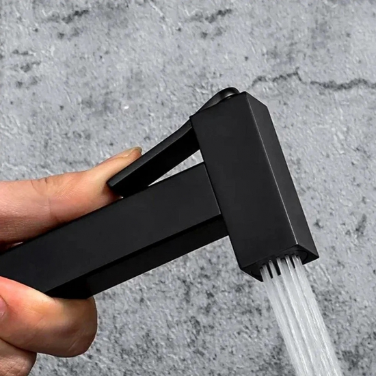 Встраиваемый смеситель с гигиеническим душем GAPPO Jacob G7207-60 черный с термостатом