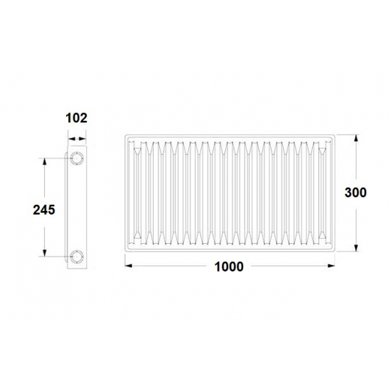 Радиатор панельный стальной BERGERR тип 22 300/1000 1543 Вт