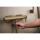 Смеситель для душа HANSGROHE Tecturis E 73620140 шлифованная бронза