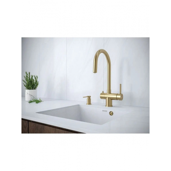 Дозатор для кухонной мойки PAULMARK Brevit D005-G, золото