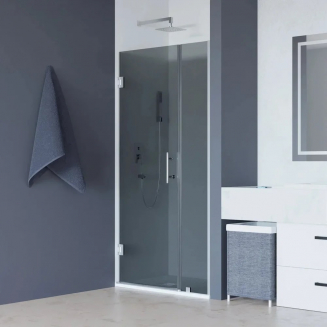 Душевая дверь в нишу RGW Hotel HO-012 100х195 стекло тонированное, профиль хром