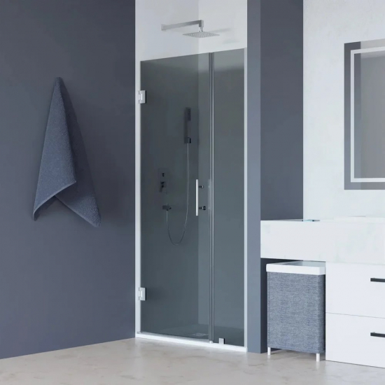 Душевая дверь в нишу RGW Hotel HO-012 120х195 стекло тонированное, профиль хром 