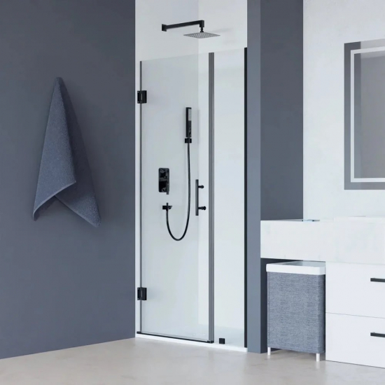 Душевая дверь в нишу RGW Hotel HO-012-B 120х195 стекло прозрачное, профиль чёрный