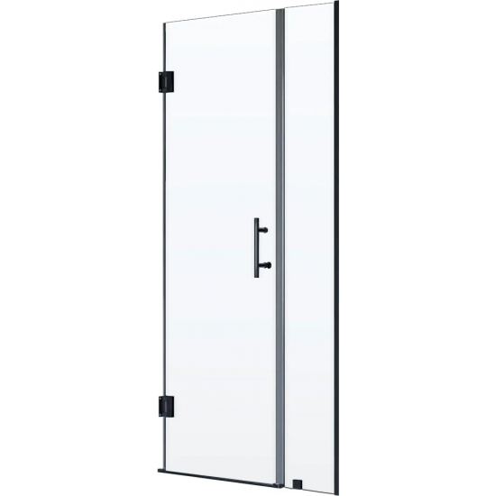 Душевая дверь в нишу RGW Hotel HO-012-B 120х195 стекло прозрачное, профиль чёрный