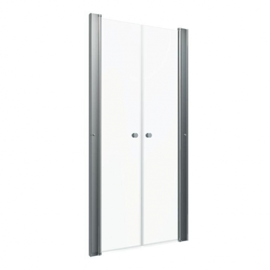 Душевая дверь в нишу ТРИТОН Дабл 100