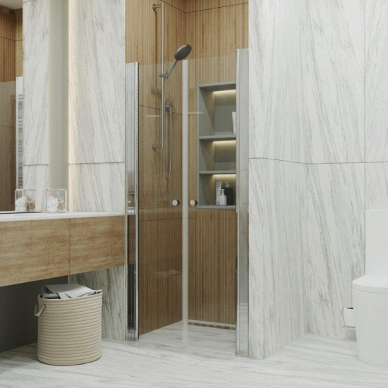 Душевая дверь в нишу ТРИТОН Дабл 100