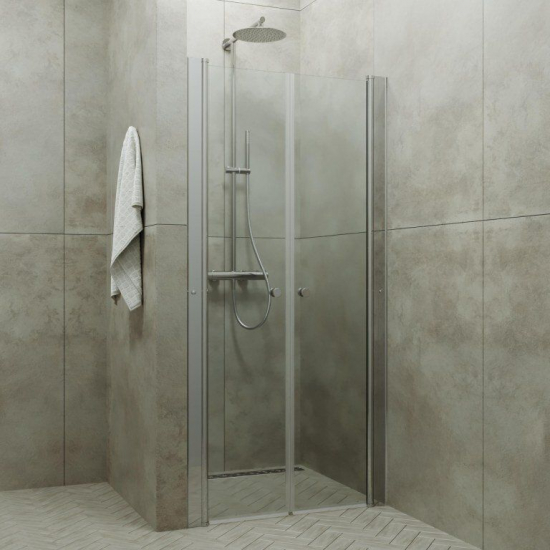 Душевая дверь в нишу ТРИТОН Дабл 100