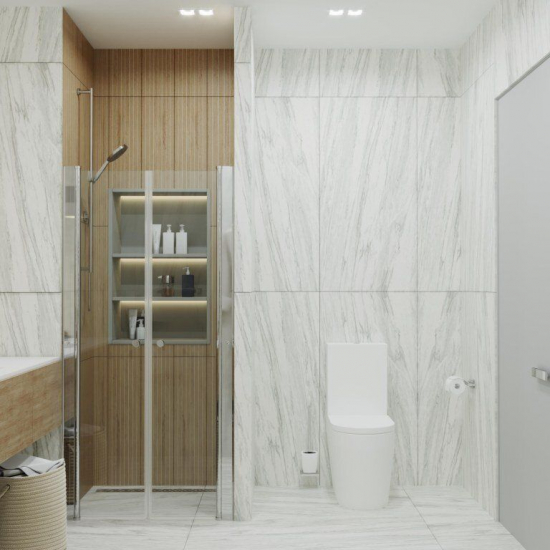 Душевая дверь в нишу ТРИТОН Дабл 90