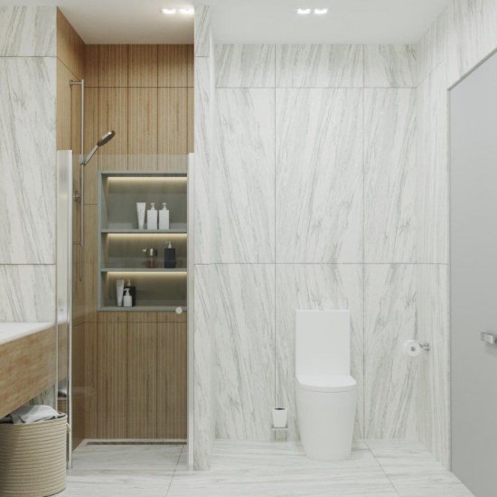 Душевая дверь в нишу ТРИТОН Уно 80