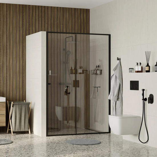 Душевая дверь в нишу WASSERKRAFT Dill 61S12 100x200