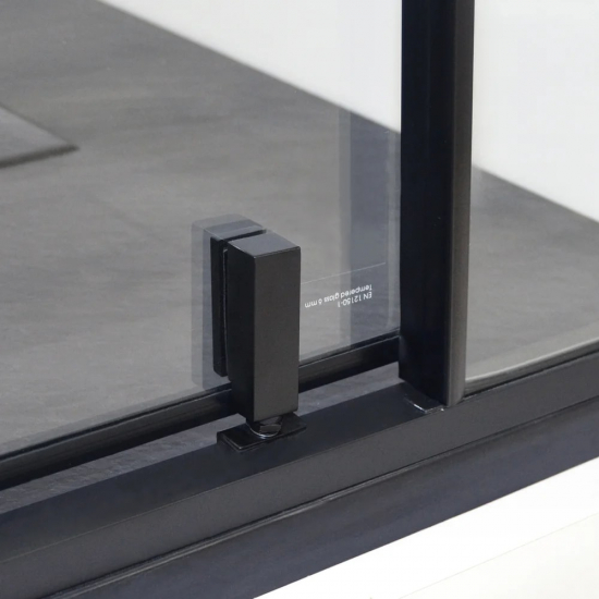 Душевая дверь в нишу WASSERKRAFT Elbe 74P05 120x200