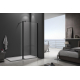 Душевая перегородка BAS Good door Walk in SP2-100-C-B 100x195 стекло прозрачное, профиль чёрный
