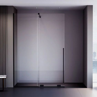 Душевая перегородка VECONI Premium Trento PTDW-50B 120x200 стекло прозрачное, профиль чёрный