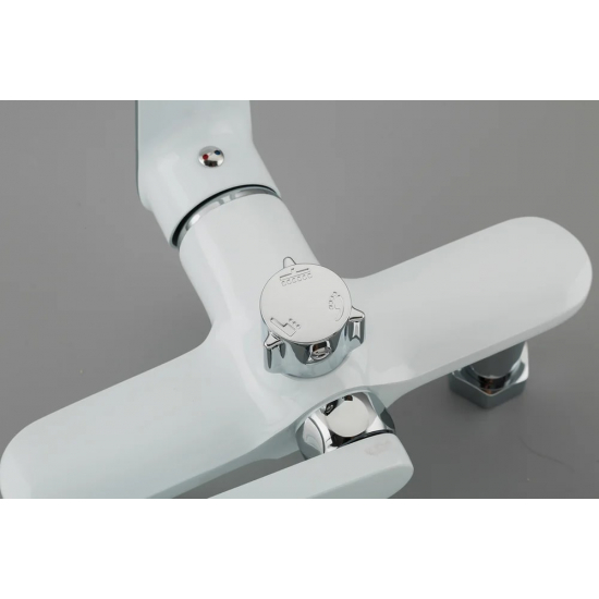 Душевая стойка FRAP H49 F2449 хром, белая