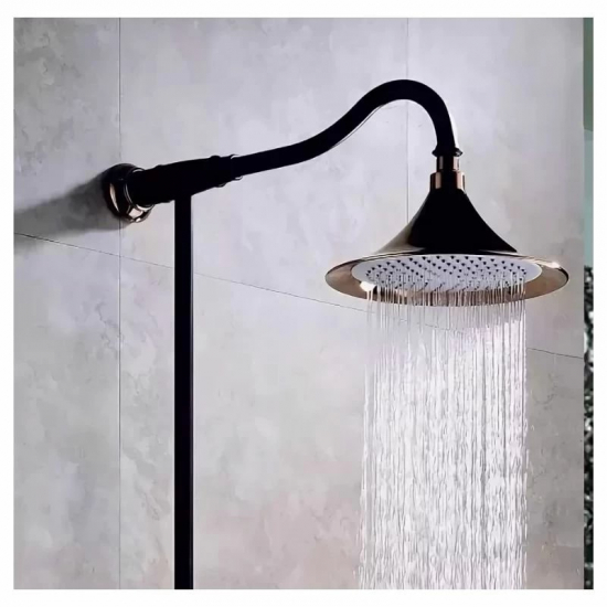 Душевая стойка LEMARK Prime LM6162BRG