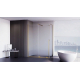 Душевой уголок VECONI Premium Trento PTC-SP-50G 120x90, стекло прозрачное, профиль золотой