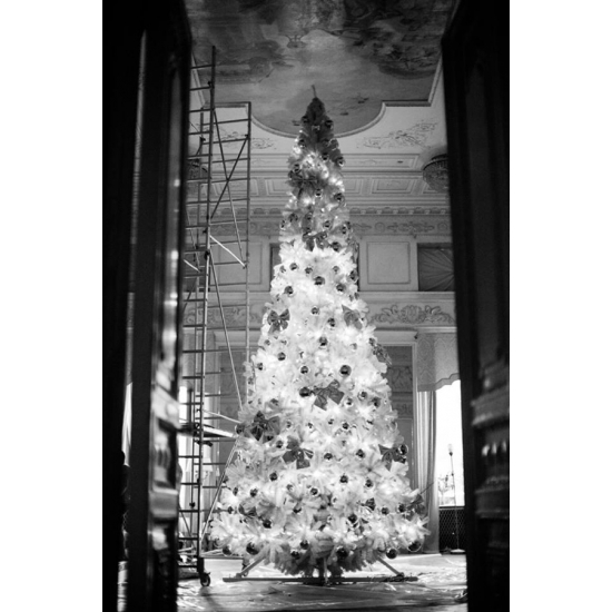 Ёлка ствольная Виктория Белая от 2,5 метра ПВХ