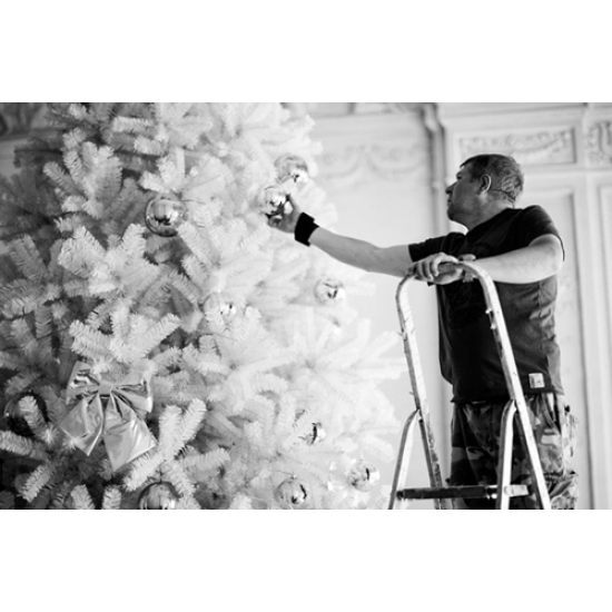 Ёлка ствольная Виктория Белая от 4 метра ПВХ