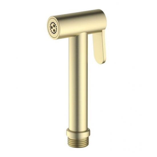 Гигиеническая лейка AQUATEK AQ2057BG золото