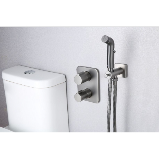 Гигиенический душ LEMARK Bronx LM3740GM встраиваемый, со смесителем, графит