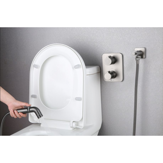 Гигиенический душ LEMARK Bronx LM3740GM встраиваемый, со смесителем, графит