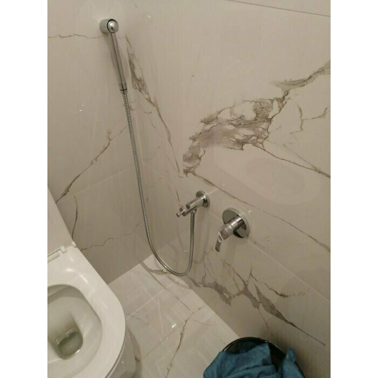 Гигиенический душ LEMARK Plus Advance LM1219C встраиваемый, со смесителем, хром