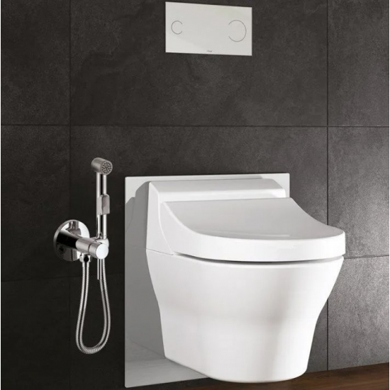 Гигиенический душ ROSSINKA X25-51 встраиваемый, со смесителем, хром