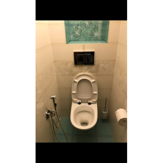 Гигиенический душ ROSSINKA X25-55 встраиваемый, со смесителем, хром