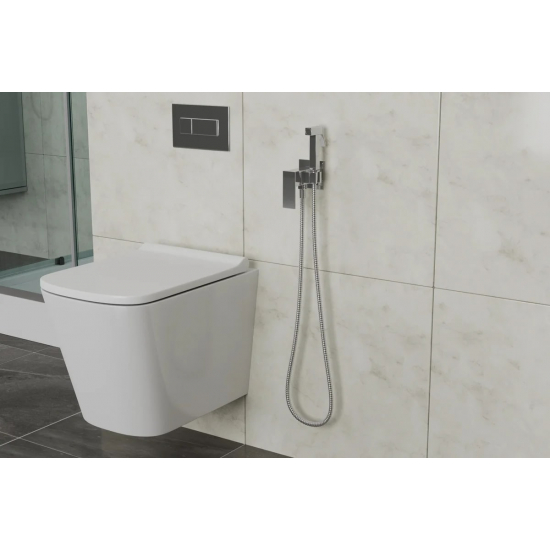 Гигиенический душ RUSH Thira TR3635-99 встраиваемый, со смесителем, хром