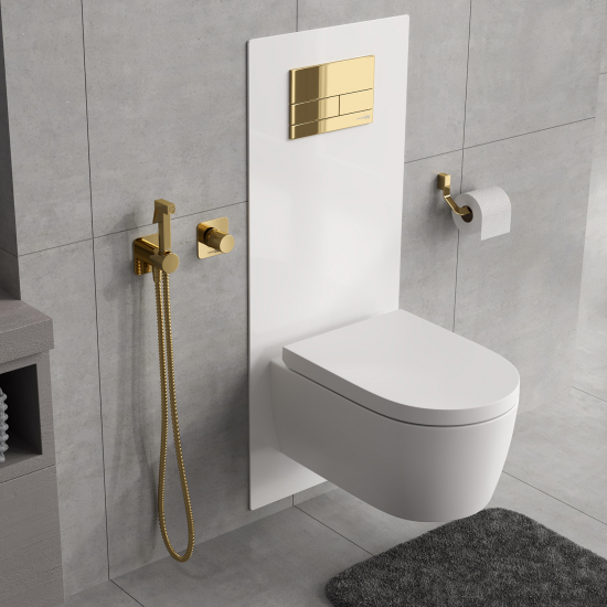 Гигиенический душ WASSERKRAFT Ems A7651.280.238.216 встраиваемый, со смесителем, золото