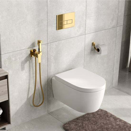Гигиенический душ WASSERKRAFT Neckar A71738 встраиваемый, со смесителем, глянцевое золото PVD