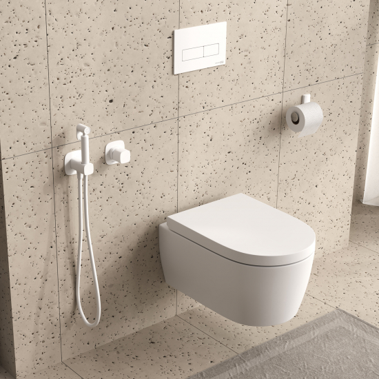 Гигиенический душ WASSERKRAFT Saale A9551.328.243.232 встраиваемый, со смесителем, белый
