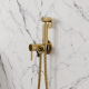 Гигиенический душ WASSERKRAFT Sauer A70738 встраиваемый, со смесителем, глянцевое золото PVD