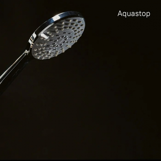 Лейка для душа IDDIS 0605F00i19