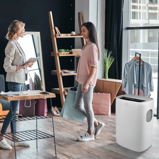Мобильный кондиционер ELECTROLUX Loft EACM-15 CL/N3