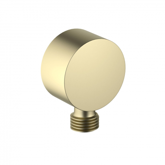 Шланговое подключение AQUATEK AQ2457BG золото шлифованное