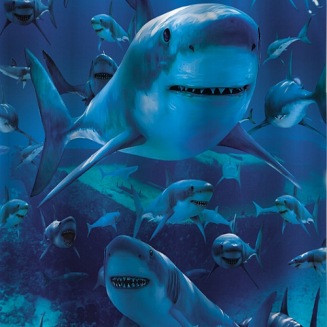 Штора для ванной BRIMIX 02-03 180x200 фотопринт "Акула"