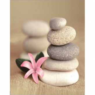 Штора для ванной ZALEL YQL-DX-094 Фотопринт 180x180 Камни и цветок без колец