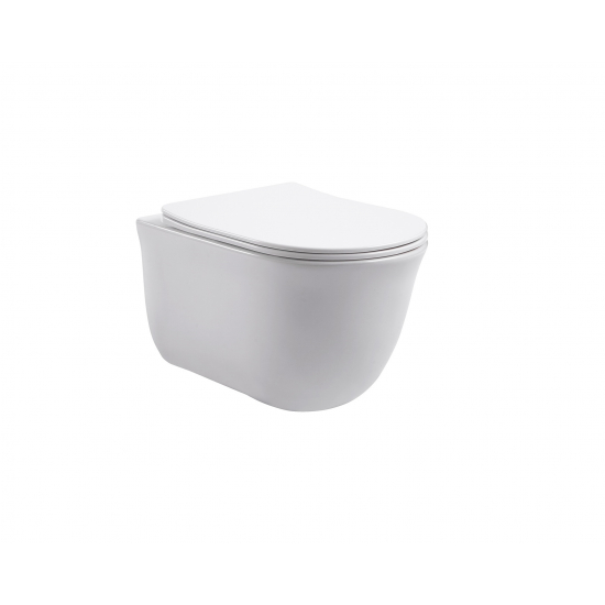 Сиденье для унитаза АКВАТЕК Классик AQ0102-00 с микролифтом, быстросъёмное, белое