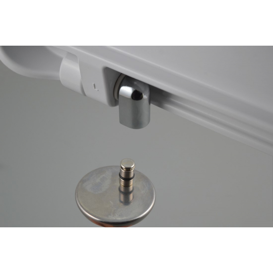 Сиденье для унитаза SANITA LUXE Amalfi, Art, Attica, Best, Blanc, Fest с микролифтом быстросъёмное