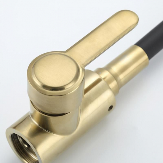 Смеситель для кухни FRUD R052 R42052-33 из нержавеющей стали, с гибким изливом, чёрный/золото